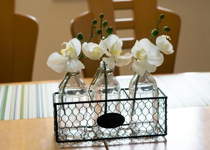 Feriehus Ferienhaus-waterkant-bis-6-personen-mit-garten